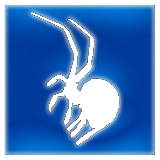 Araneus Systemlösungen GbR