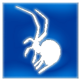 Araneus Systemlösungen GbR