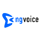 Logo ng-voice GmbH