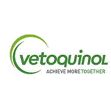 Teamlead Key Account Manager
