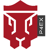 Passion 4 Experts GmbH