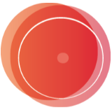 Gemeinschaftspraxis für Frauenheilkunde