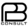pB Consult GmbH