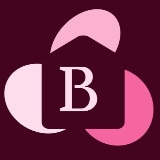 Logo BuLa Consulting UG