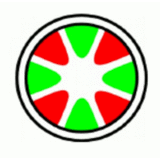 CEOS Corrected Electron Optical Systems GmbH