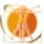 Praxis für Physiotherapie und Osteopathie Inh. Antje Weiß