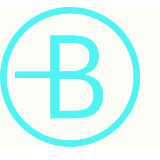 Logo BRAUS BERATUNG+REVISION GmbH Wirtschaftsprüfungsgesellschaft