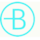 BRAUS BERATUNG+REVISION GmbH Wirtschaftsprüfungsgesellschaft