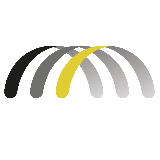 Logo PM BRIDGE