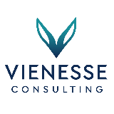 Vienesse Consulting