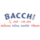 Bacchi GmbH Sanitär und Heizung