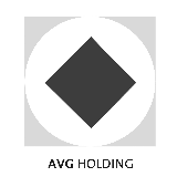 AVG Holding GmbH & Co. KG