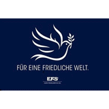 EFS Euro-Finanz-Service AG