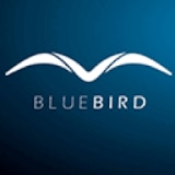 Logo Bluebird Consulting GmbH